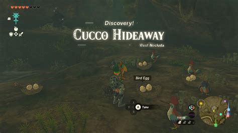 follow the cuccos|Follow the Cuccos Tears of the Kingdom Quest Guide .